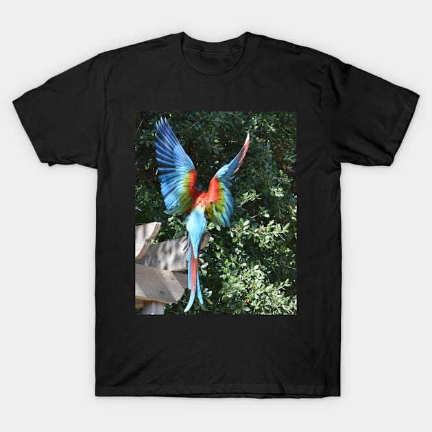 Macaw T-Shirt by Sharonzoolady